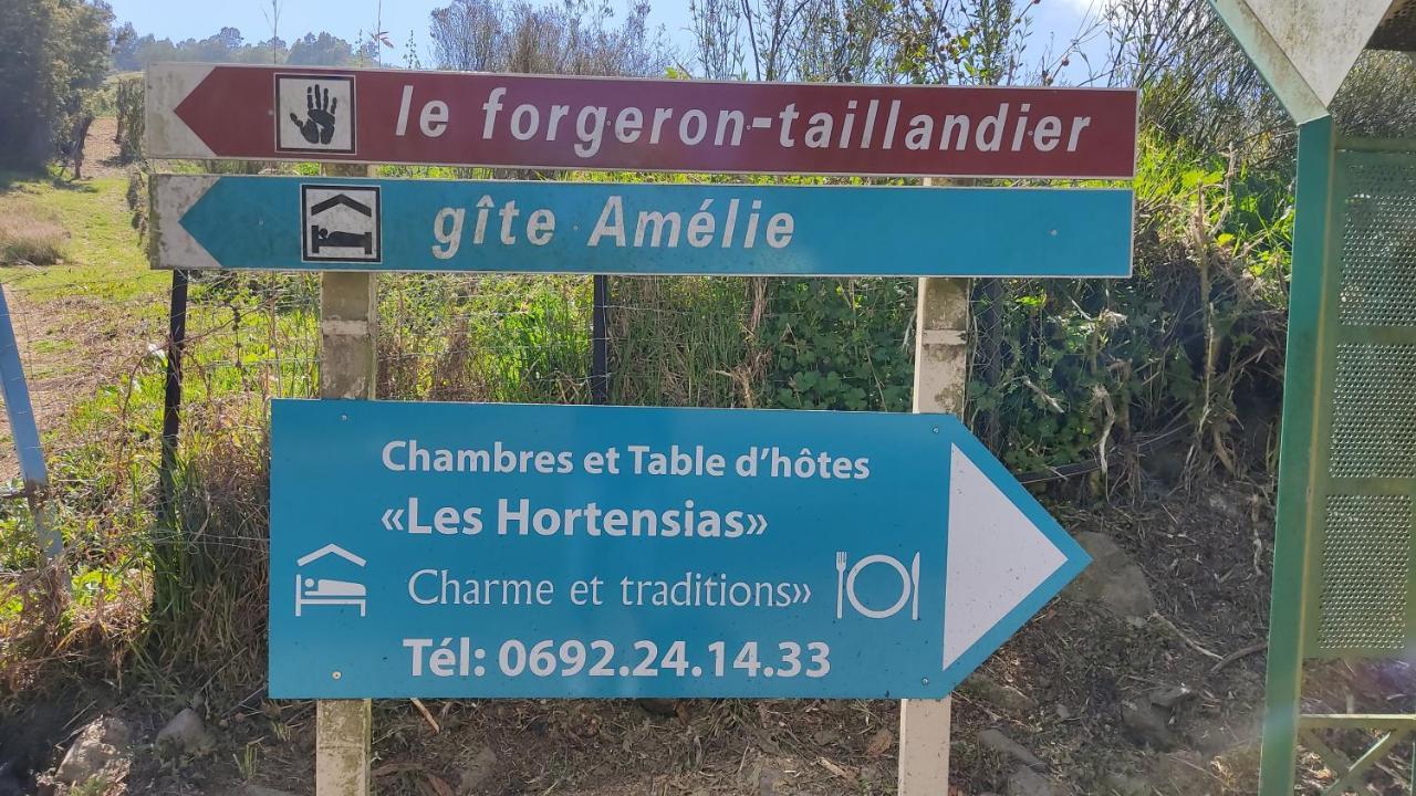 Chambres Et Table D'Hote Les Hortensias La Plaine des Cafres Luaran gambar